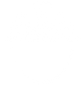 Seguros para obras, construções, arquitetura, empreiteiras
